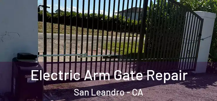  Electric Arm Gate Repair San Leandro - CA