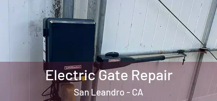  Electric Gate Repair San Leandro - CA