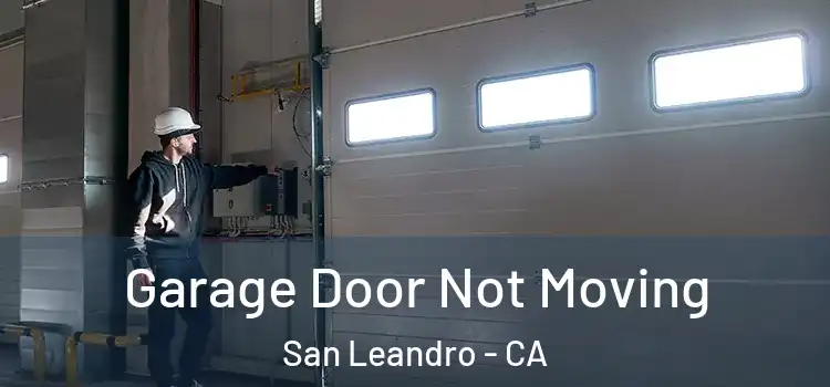  Garage Door Not Moving San Leandro - CA