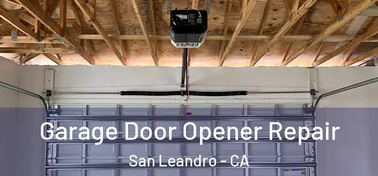  Garage Door Opener Repair San Leandro - CA