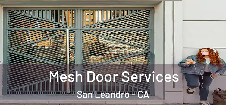  Mesh Door Services San Leandro - CA